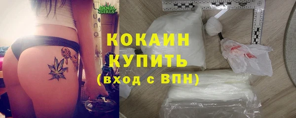 молекула духа Белокуриха