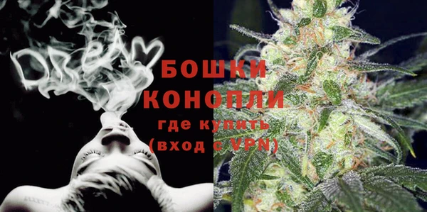 молекула духа Белокуриха