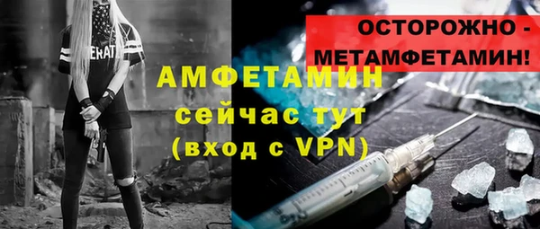 молекула духа Белокуриха
